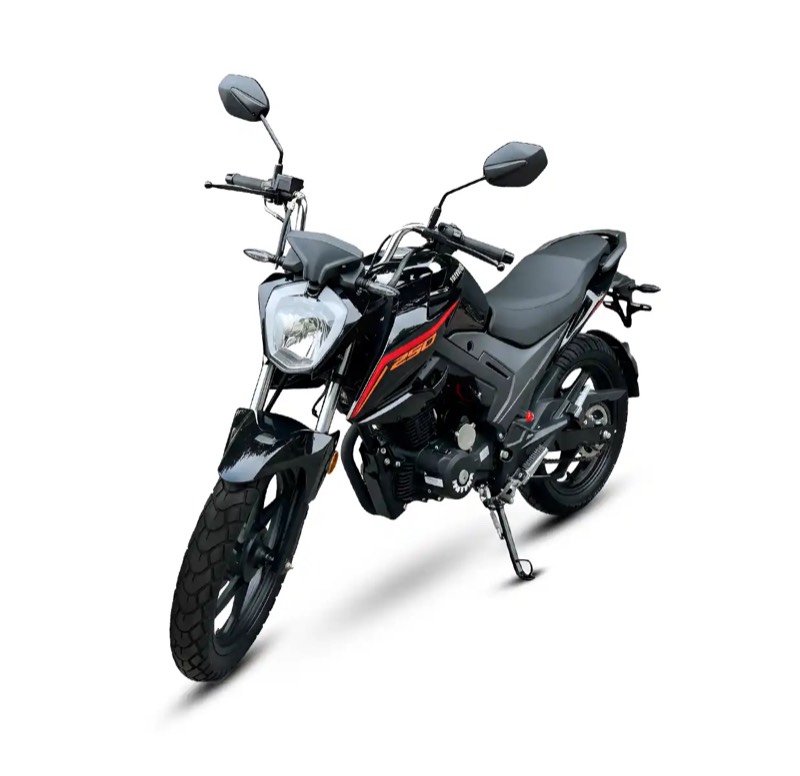 Moto de combustion Panther 250-10E (Negra)