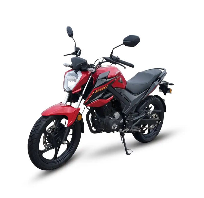 Moto de combustion Panther 250-10E (Roja)